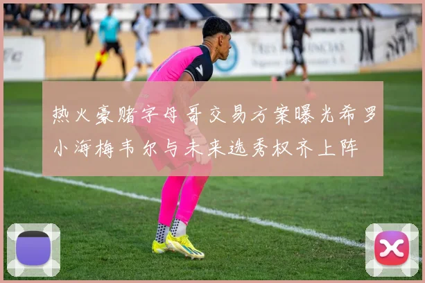 热火豪赌字母哥交易方案曝光希罗小海梅韦尔与未来选秀权齐上阵